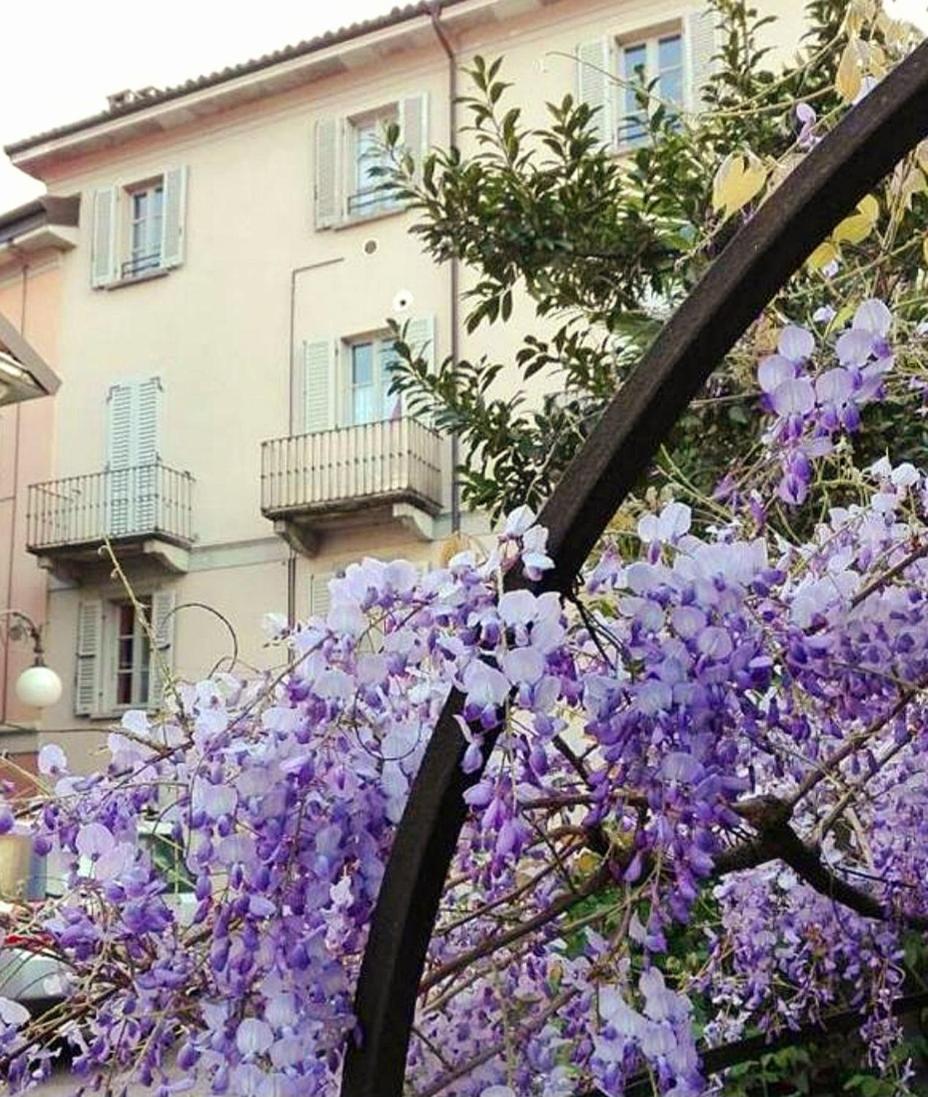 Casa Vacanze Stella Verbania Exteriör bild
